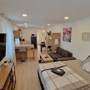 Appartment-ferienwohnug Mit Küche, Bad, Kostenlos Wlan Und Stellplatz, Modern Eingerichtet Gasthof Roding